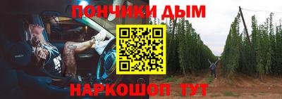шишки Будённовск