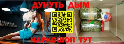 шишки Будённовск