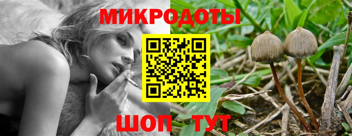 Галлюциногенные грибы мицелий Нефтекамск